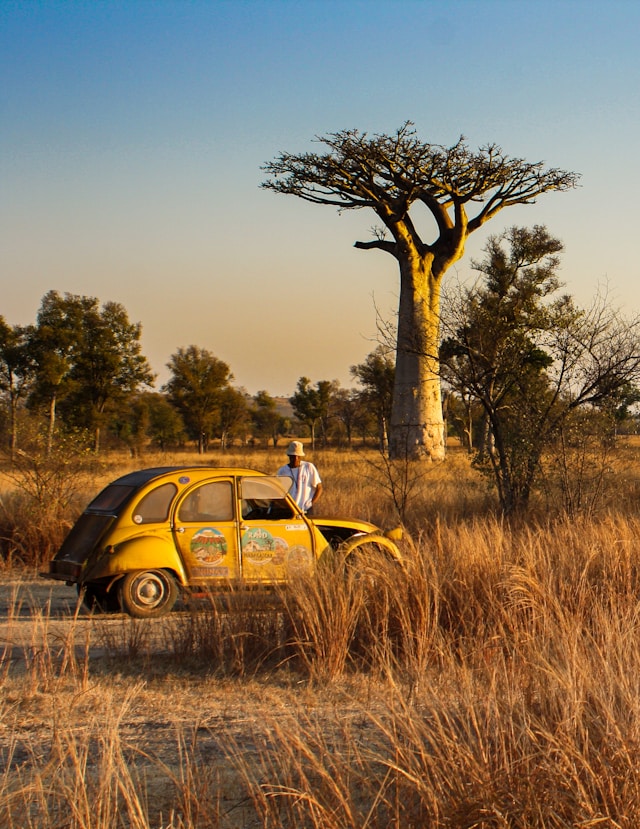 image afrique